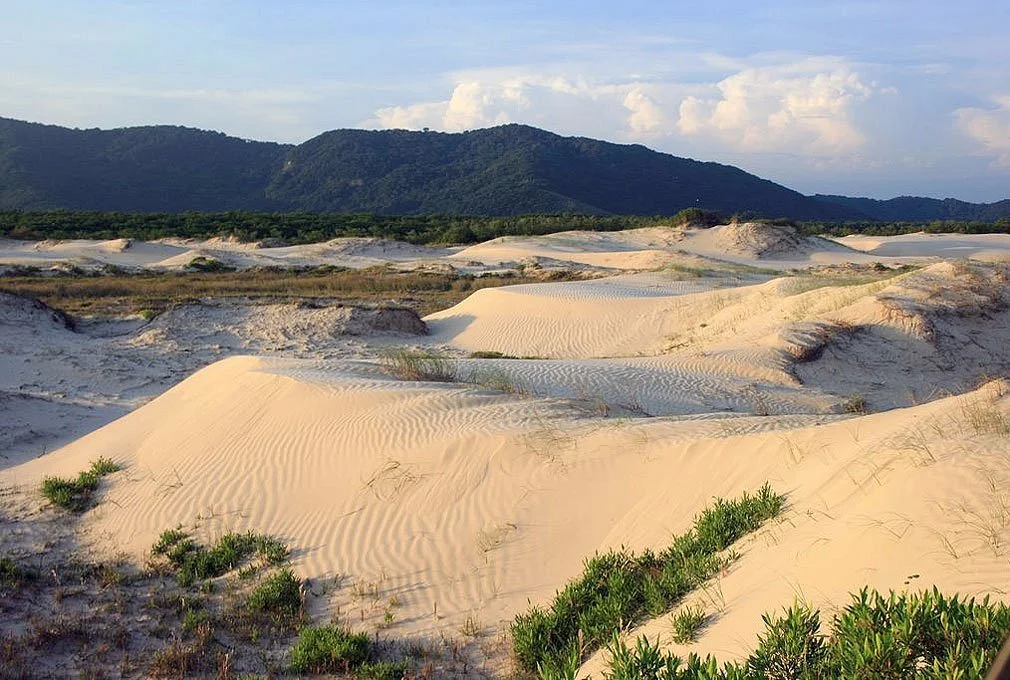 Dunas em ilha comprida.