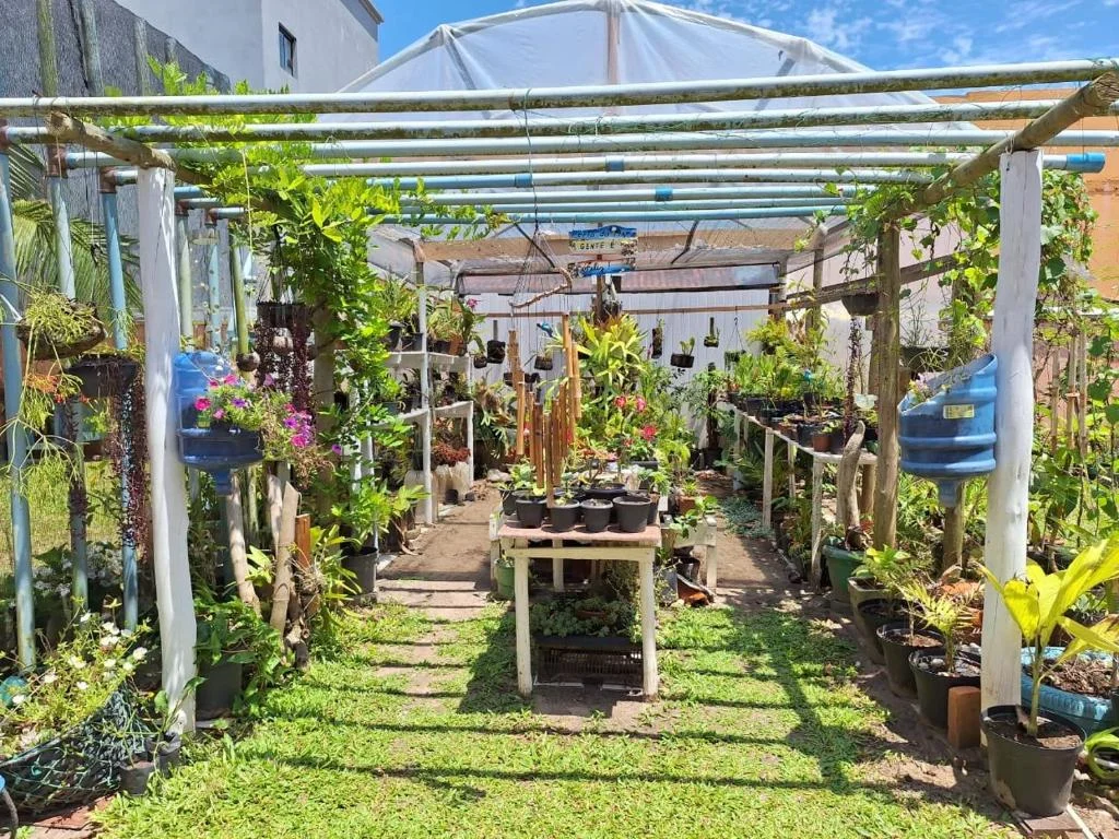 Hortinha.