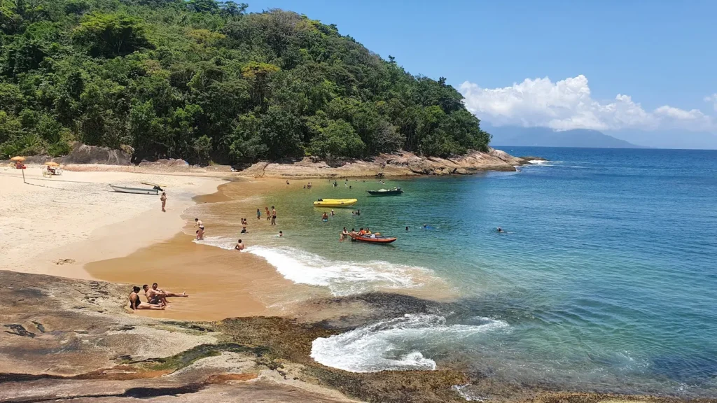 Ilha do Tamandua